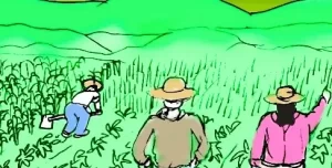 Gobierno nacional reporta avances históricos en Reforma Agraria, producción agropecuaria y reducción de la pobreza rural