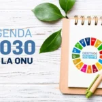 El fracaso de la Agenda 2030: entre la retórica y la polémica concepción de “desarrollo sostenible”